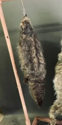 Faux Marmot Pelt