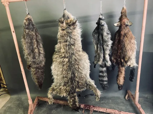 Faux Marmot Pelt